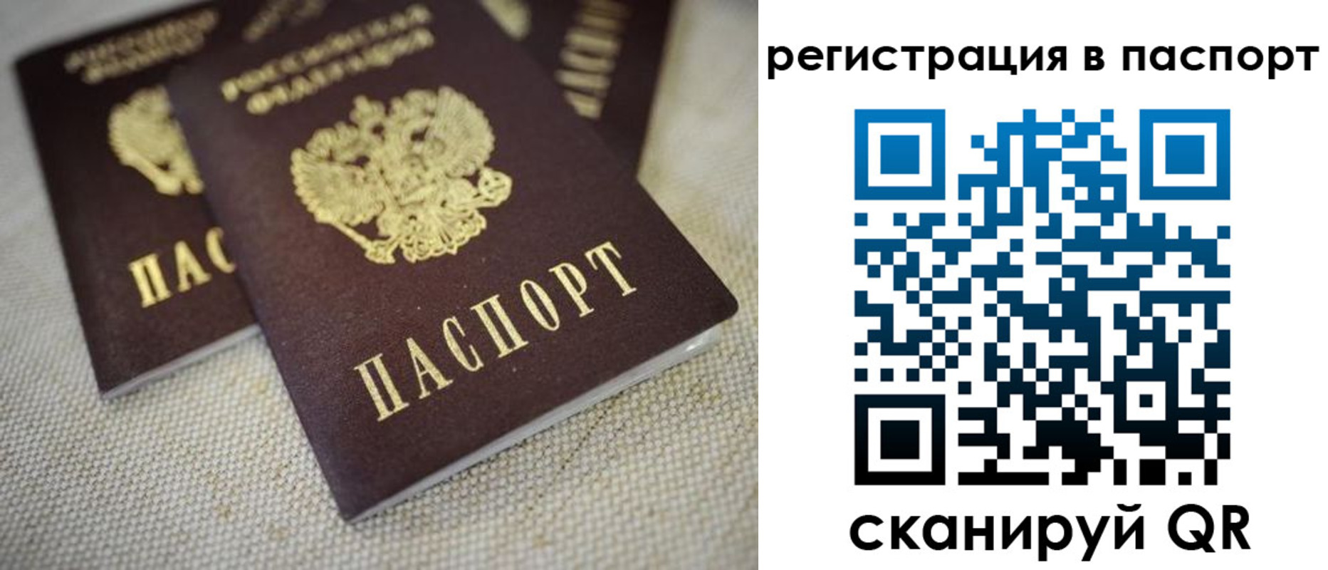 прописка гарантия в Звенигово
